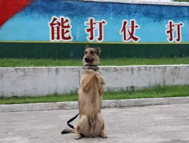 制定篮球交流计划以促进个人技能发展的方法_2